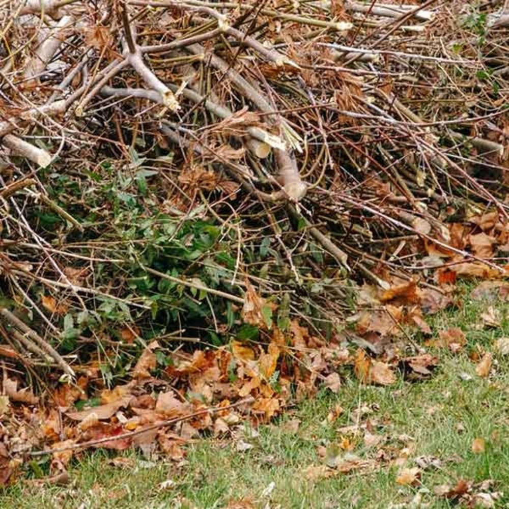 groenafval container huren